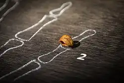 2008 in der Denissowa-Höhle entdecktes Fingerglied (Replik) eines Denisova-Menschen