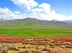 Deosai-Nationalpark