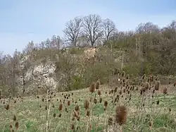 Gamsenberg zwischen Rehmen und Oppurg