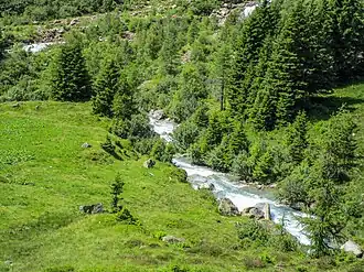 Der Gorezmettlenbach