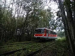 Der Teichland-Express auf der Fahrt nach Lichterfeld, im Vordergrund die Strecke nach Sallgast (September 2017)