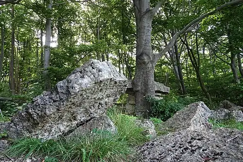 Die im Halbkreis um den Wolfstisch liegenden Felsplatten könnten möglicherweise einst als Sitze gedient haben