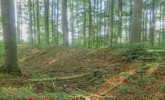 Der westliche Wall der Befestigung auf dem Hünstollen