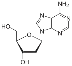 Desoxyadenosin
