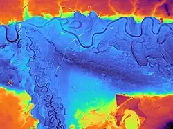 Falschfarbenbild der Dessau-Wörlitzer Elbauen zwischen Dessau und Coswig mit Muldemündung aus DGM1-Daten