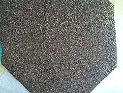 Perilla frutescens, Detail des Blütenstandes (links); Samen (rechts)