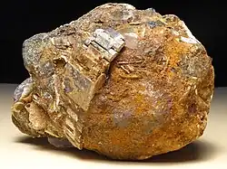 Ein diagenetischer Stein mit Uhrarmband (Nordseeinsel Wangerooge)