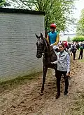 Erle mit Jockey Martin Seidl beim Verlassen des Führrings in Richtung Geläuf
