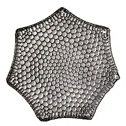 Die Kieselalge Triceratium&nbsp;favus var. septangulatum besitzt eine im Querschnitt siebeneckige Frustel.