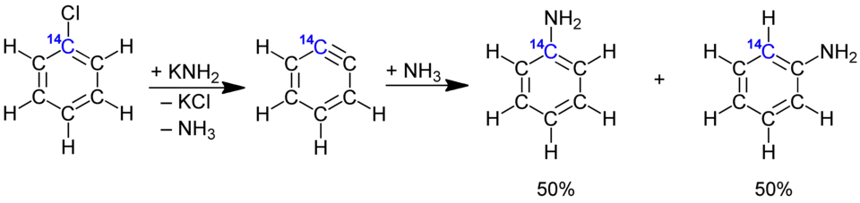 Nachweis von Arinen durch 14C-Markierungsreaktion