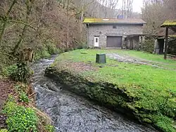 Die Wilde Endert zwischen Ulmen und Müllenbach in der Vulkaneifel