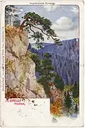 Die Loreley, ein Aussichtspunkt oberhalb des Triebtales, auf einer Ansichtskarte um 1905