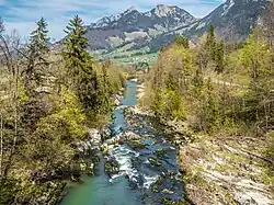 Die Saane bei Villars-sous-Mont