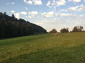 Links im Wald befindet sich der Hombrig, der höchste Punkt des Dietschiberges