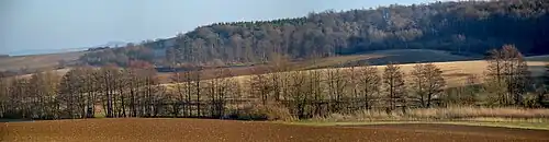 Der Oberlauf des Dilsbach bei Ober-Ramstadt – Panorama
