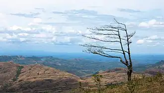 Blick nach Süden von den Hügeln südlich von Santa Fe