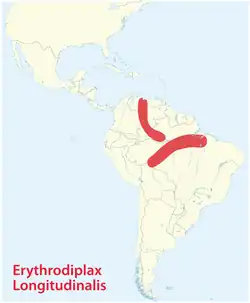 longitudinalis-Gruppe