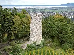 Burgruine Grimmenstein (Luftaufnahme: Blickrichtung Norden)