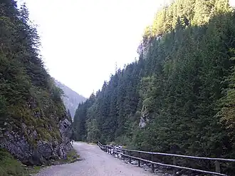 Wyżnia Brama Chochołowska