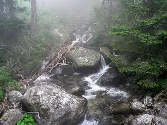 Velický potok, Slowakei