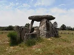 Anta da Pedra da Orca