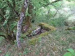 Dolmen von Cavagnès nordöstlich des Ortes