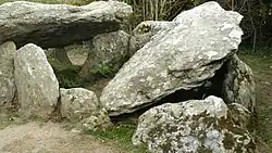 Dolmen von Port-Mélite oder Mené Guioré