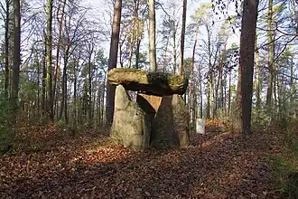 Dolmen auf dem Mollenkopf