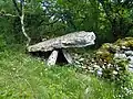 Dolmen Les Causses Hauts