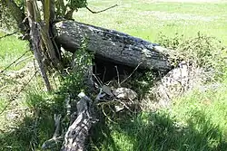 Dolmen von Castelnau