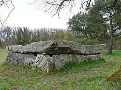 Dolmen de la Bajoulière