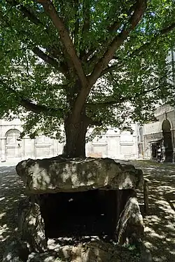 Allée couverte des Grèves de Fraicul