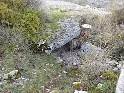 Dolmen du Genévrier