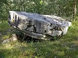 Dolmen von Fourques Basses