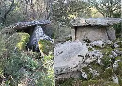 Dolmens des Grandes Terres