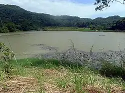 Im Donyuan-Feuchtgebiet