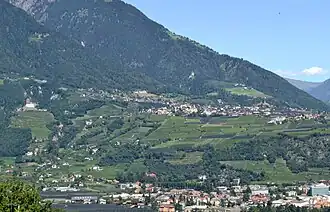 Blick auf die dem Etschtal zugewandten Hänge des Küchelbergs: unten Meran, in der Höhe Dorf Tirol, dahinter die steilen Hänge der Texelgruppe