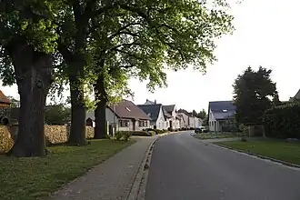 Dorfstraße mit den drei „Kriegseichen“