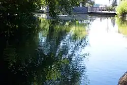 Dorfweiher in Ermengerst