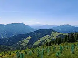 Blick von der Flur Tiroler Schlag nach Südwesten zum Dornerkogel. Dahinter links der Hochlantsch, rechts das Rennfeld