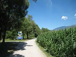 Drauradweg R1 bei Radlach