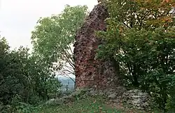 Ruine Neuwedell heute