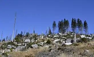 Blick auf den Gipfel des Dreisesselbergs