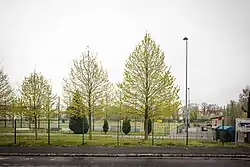 Foto eines Sportplatzes mit Fußballtoren hinter einem Zaun und einer Reihe gerade austreibender Bäume. Auf der rechten Seite ist ein niedriges Gebäude zu sehen, vermutlich Umkleiden und Geräteräume.