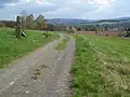 Ringweg um den Drohmberg, oberhalb von Großpostwitz