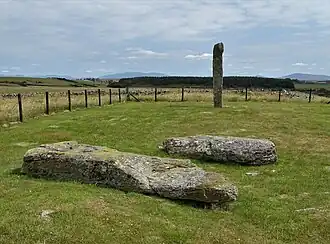 Der 2010 umgefallene (vorne) und der länger liegende Menhir