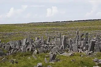 Die Barrieren des Cheval de Frise