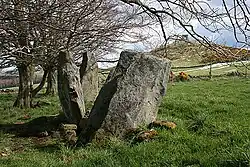 Dunnideer Steinkreisrest