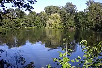 Nummernweiher (2024)