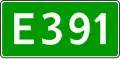 E391